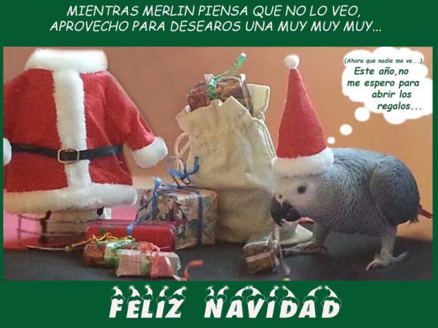 Fotografia ganadora concurso fotografico año nuevo 2014 de arrobapark.